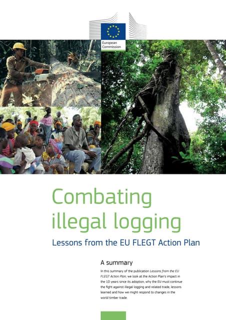 Combating Illegal Logging & Fire Risks: Forest Vigilance using IoT - coolestguyplanet.net