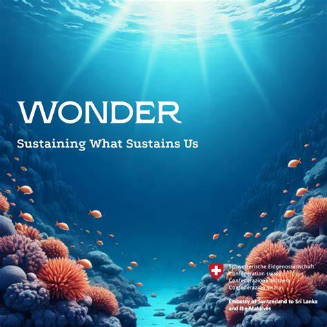Combating Marine Pollution via Innovation to protect … - raincitystudios.com