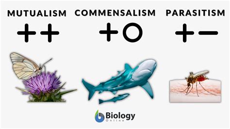 Commensalism, Mutualism and Parasitism - Biology … - muktibox.com