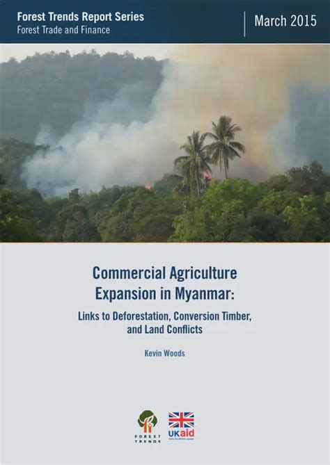 Commercial Agriculture Expansion in Myanmar - Forest Trends - raincitystudios.com