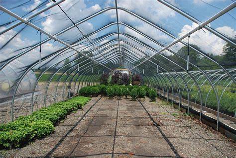 Commercial Greenhouses - Growers Supply - raincitystudios.com
