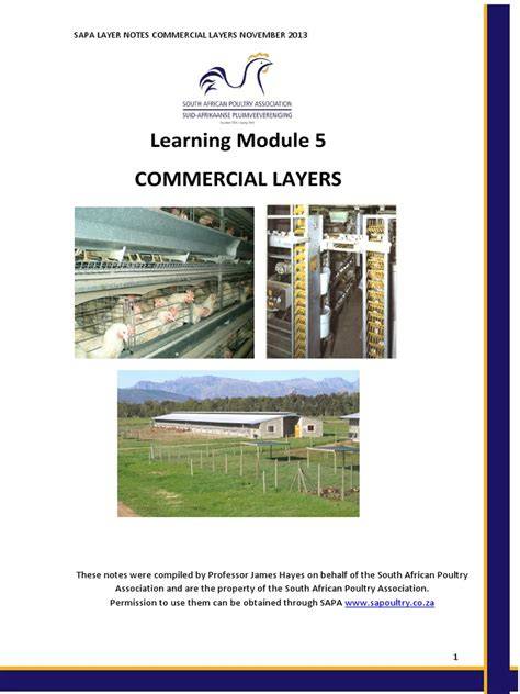 Commercial layer Production | PDF - SlideShare - raincitystudios.com