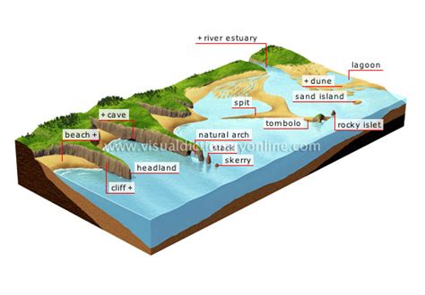 Common erosional shoreline features include: - wintechmobiles.com
