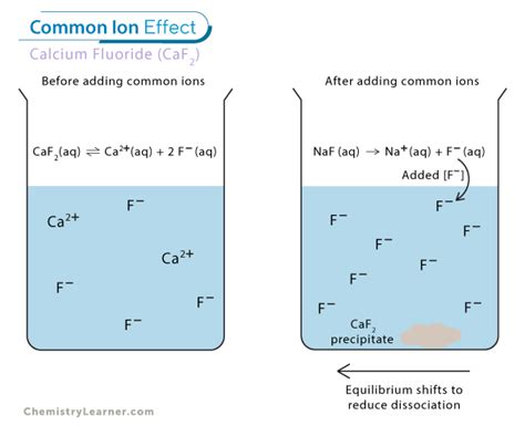 Common ion effect: General Chemistry II Study Guide |... - wintechmobiles.com