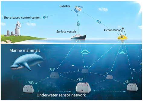 Communication in Marine Mammals - ScienceDirect - raincitystudios.com