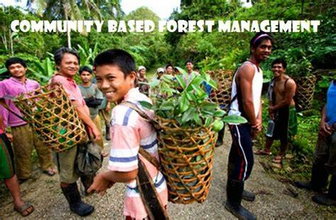 Community based forest management in the Philippines - raincitystudios.com