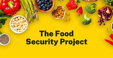 Community engagement initiatives: Food Security Projects: Nourishing ... - raincitystudios.com