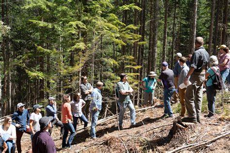 COMMUNITY FOREST MANAGEMENT MATTERS: - raincitystudios.com