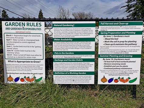 Community Garden Guidelines - City of Sydney - raincitystudios.com