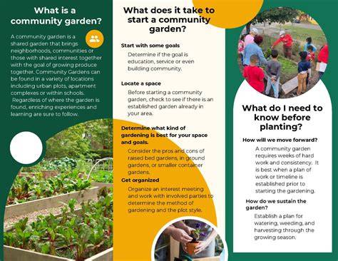 Community Garden Information - How To Start A … - raincitystudios.com