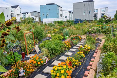 Community Gardens and Sustainability - ArcGIS … - raincitystudios.com