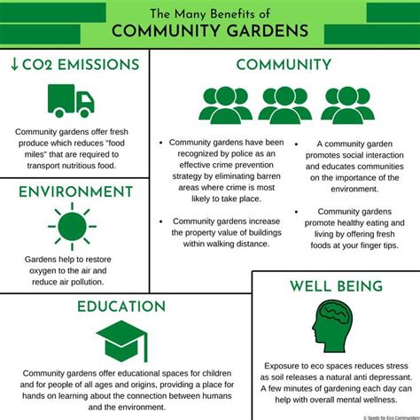 Community Gardens as a Tool for Sustainability: Benefits, Design ... - raincitystudios.com