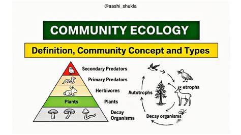 Community Structure Ecology - esports.bluefield.edu - raincitystudios.com