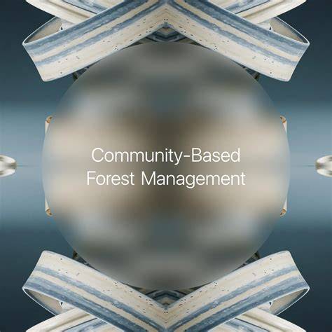Community-Based Forest Management → Fundamentals - raincitystudios.com