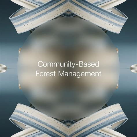 Community-Based Forest Management → Term - raincitystudios.com