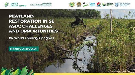 Community-led peatland restoration in Southeast Asia: … - raincitystudios.com