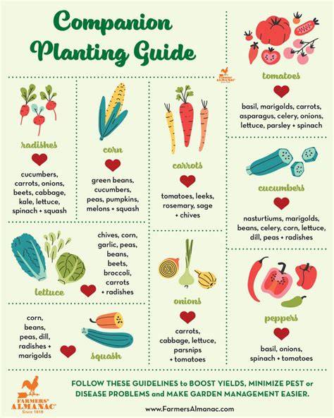 Companion Planting – The Ultimate Guide - raincitystudios.com