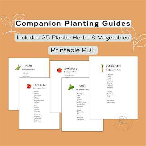 Companion Planting Chart: Quick Reference Guide - raincitystudios.com