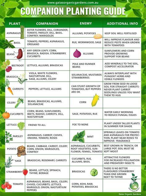 Companion Planting Guide - Thompson & Morgan - raincitystudios.com