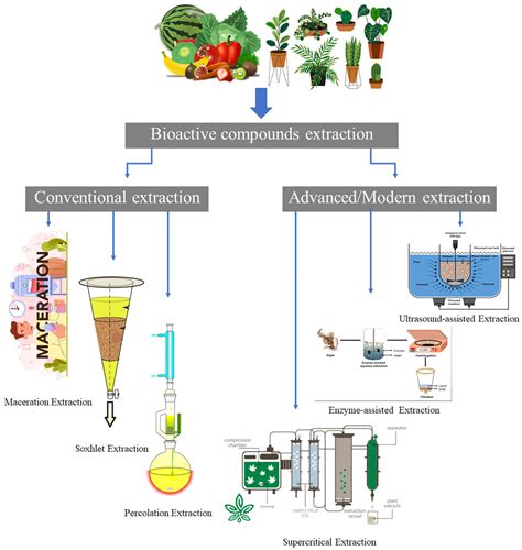 Comparative efficiency of solvent extraction of bioactive compounds ... - raincitystudios.com