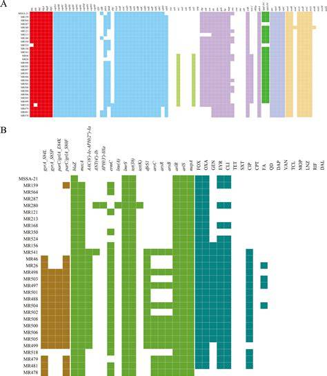 Comparative genomic analysis of hypervirulent - ScienceDirect - raincitystudios.com