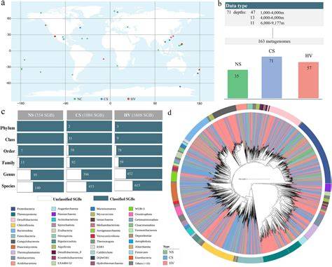 Comparative metagenomics highlights the habitat-related diversity in ... - raincitystudios.com