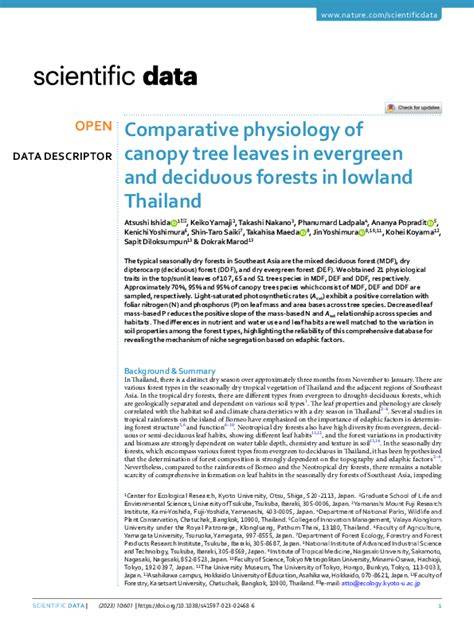Comparative physiology of canopy tree leaves in evergreen and deciduous ... - raincitystudios.com