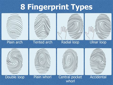 Comparison of 2D fingerprint types and hierarchy level selection ... - coolestguyplanet.net