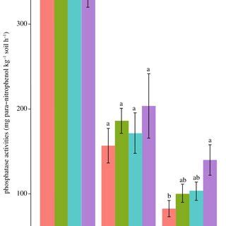 Comparison of phosphorus fractions and phosphatase activities in ... - raincitystudios.com