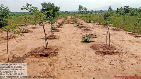 Compensatory Afforestation - raincitystudios.com