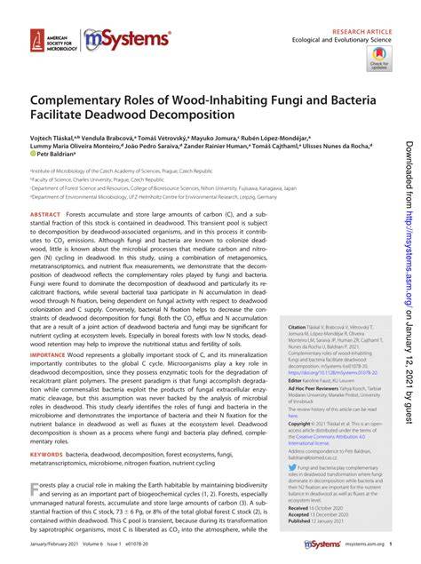 Complementary Roles of Wood-Inhabiting Fungi and … - raincitystudios.com