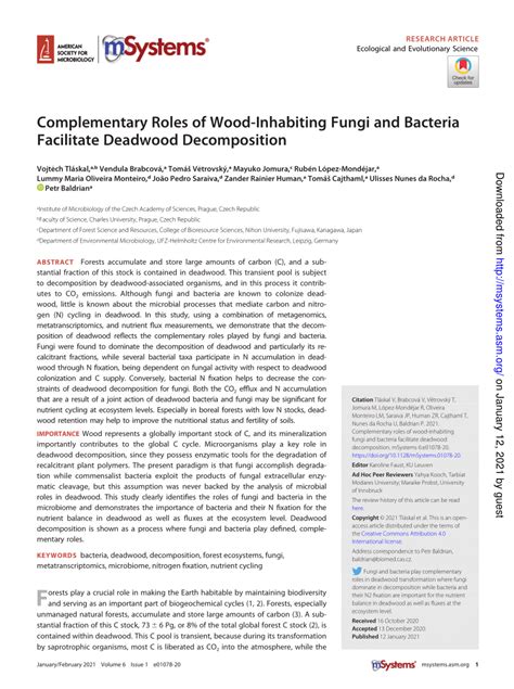 Complementary Roles of Wood-Inhabiting Fungi and ... - ScienceDirect - raincitystudios.com