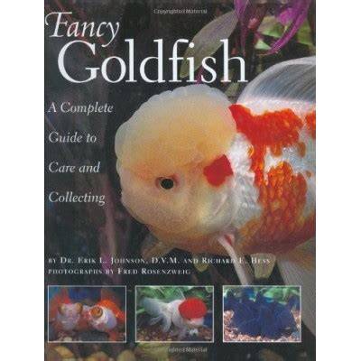 Complete Fancy Goldfish Care Guide - Luke's Goldies - raincitystudios.com
