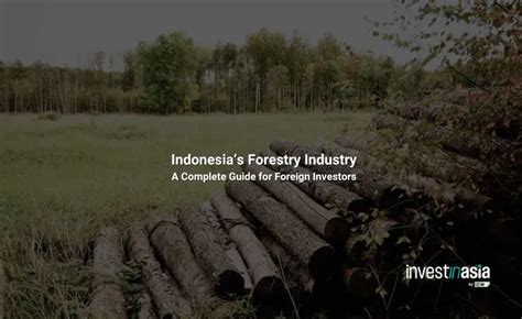 Complete Guide to the Forestry Industry in Indonesia - raincitystudios.com