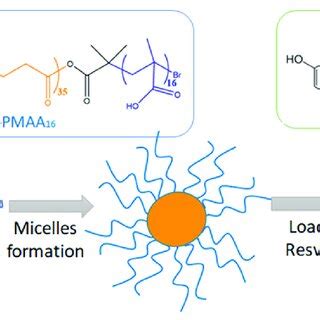 Complex formation of linear poly (methacrylic acid) with uranyl ions in ... - wintechmobiles.com