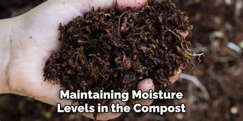 Compost 101: Perfecting Moisture Levels for Decomposition - raincitystudios.com