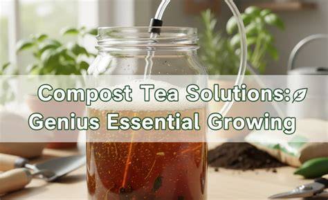 Compost Tea: An Emerging Nature-Based Supplement ... - Springer - raincitystudios.com