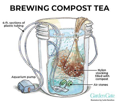 Compost Tea Brewing: The Ultimate Guide - Smart Garden Guru - raincitystudios.com