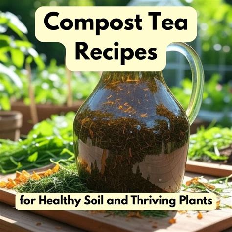 Compost Tea For Plants (Updated March 23rd) - raincitystudios.com