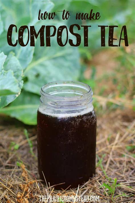 Compost Tea Recipe: How to Make Compost Tea - raincitystudios.com
