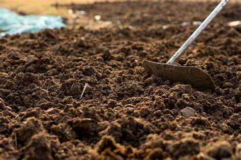 Composted Manure - .75 cu. ft. at Menards® - raincitystudios.com