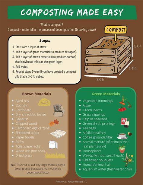 Composting: A Complete Beginner's Guide - raincitystudios.com