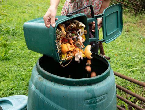 Composting | RHS Advice - raincitystudios.com
