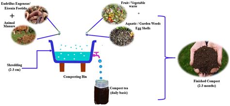 Composting associated with planting pits | FAO - raincitystudios.com