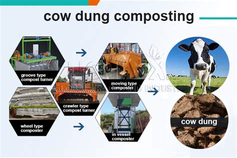 Composting cattle manure | cow manure compost … - raincitystudios.com