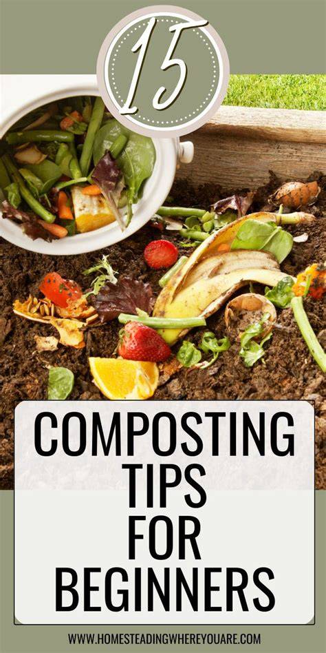 Composting for Beginners: How to Get Started Today … - raincitystudios.com