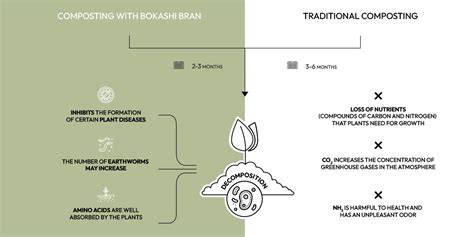 Composting vs fermentation: let's start the … - raincitystudios.com