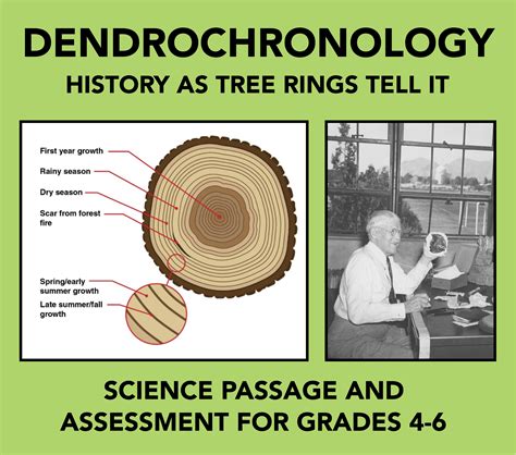 Comprehensive Study of Dendrochronology: Tree Rings and Their ... - wintechmobiles.com