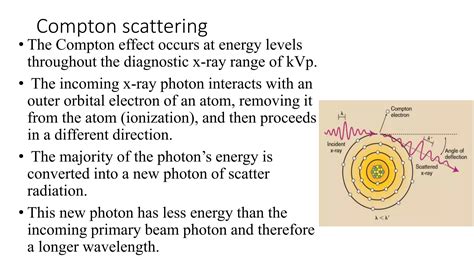 Compton Scatter, kVp Effects, and Beam Restriction in ... - Quizlet - wintechmobiles.com