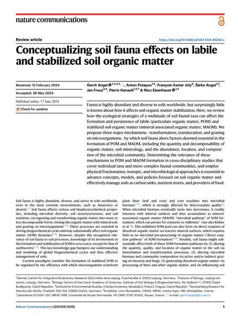 Conceptualizing soil fauna effects on labile and stabilized soil ... - raincitystudios.com